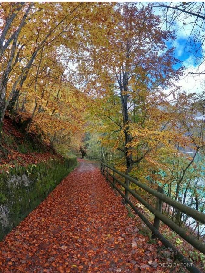 CesiomaggioreColori Nel Parco公寓 外观 照片